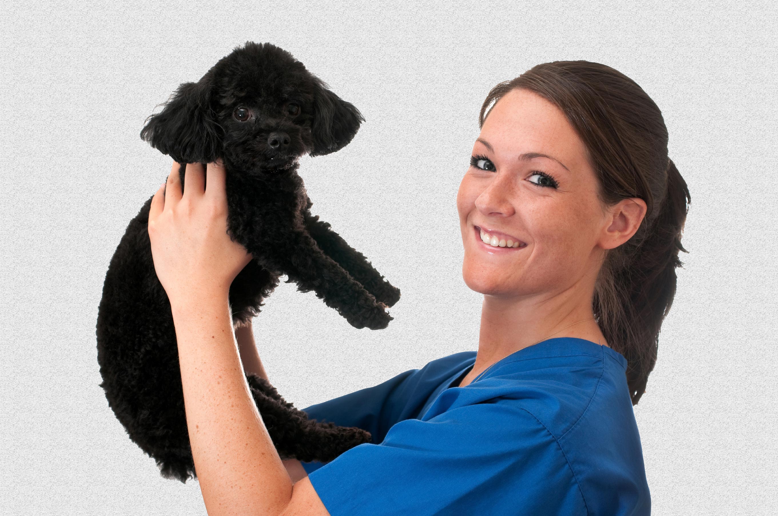 Online Career Institute Online Career Course Training Programs